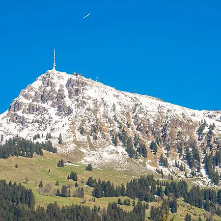 Kitz - Steuerberg Xl מלון