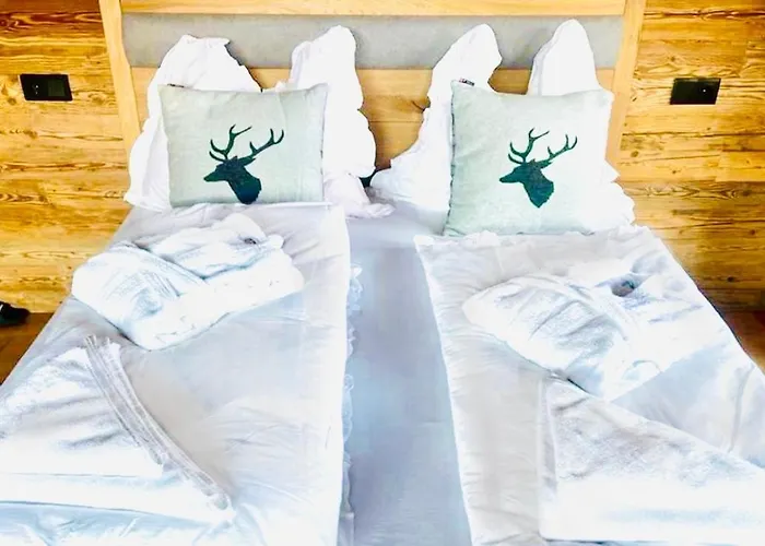 فندق Kitz - Steuerberg كيتزبوهيل