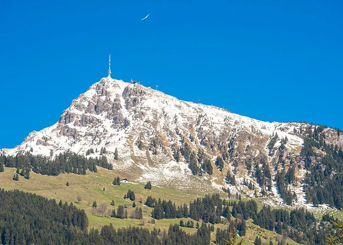 Kitz - Steuerberg Szálloda