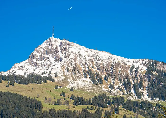 Szálloda Kitz - Steuerberg